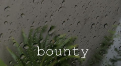 Салон Bounty